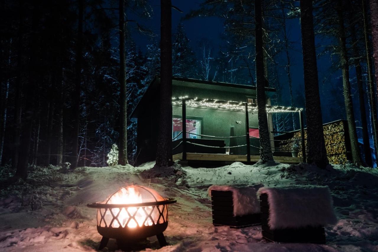 Ternu Minivilla Rovaniemi Luaran gambar