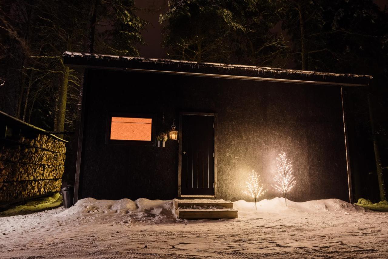 Ternu Minivilla Rovaniemi Luaran gambar